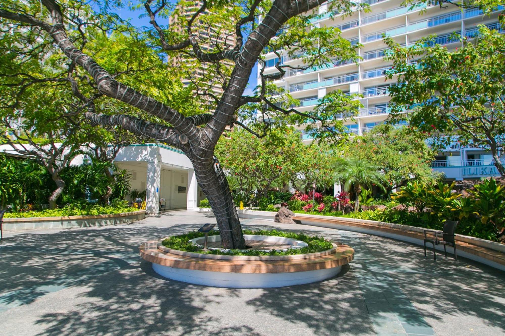 Ilikai Tower 931 Yacht Harbor View 1Br Apartment Honolulu Ngoại thất bức ảnh